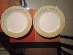 12 melamine rice plates