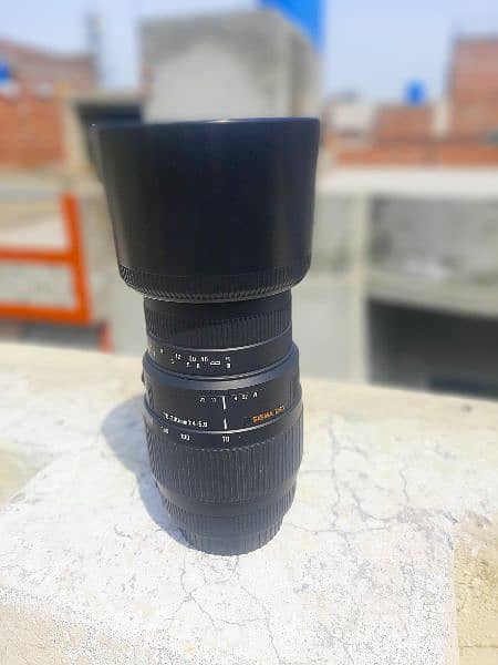 Sigma 70-300 zoom lense 2