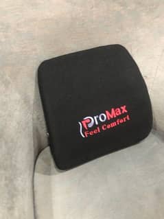 MoltyOrtho Back Care Cushion