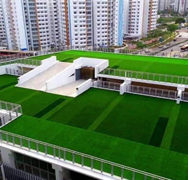 Artificial Grass 2