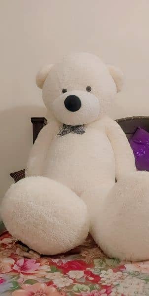 Teddy bears available 5