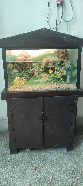 Fish aquarium 7