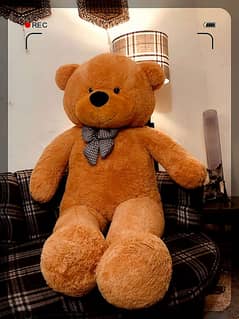 3 Feet, 5 Feet, and 6 Feet Teddy Bears for Sale