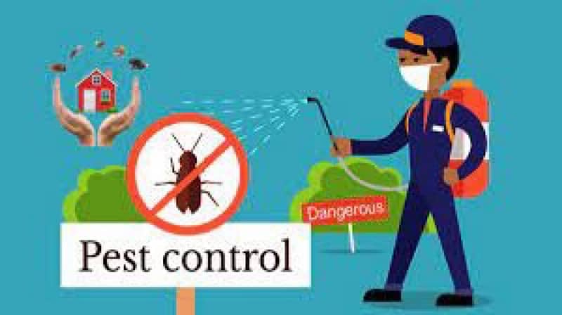 Pest Control/Termite Control/Fumigation Spray/Deemak Control Services 1