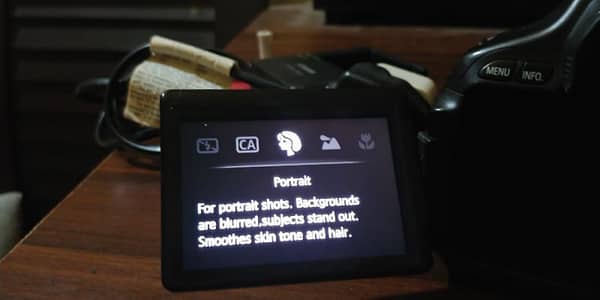 Canon 600d with kit lens