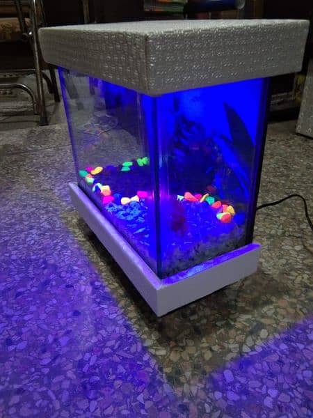 imported fishes new & use aquriums 7