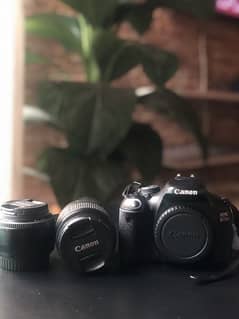 canon d600 olx