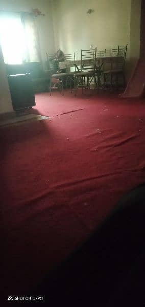 red carpet