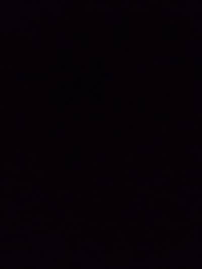 required staff female for digital marketing