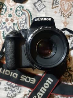 canon d600 olx