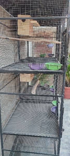 Birds Cage 0