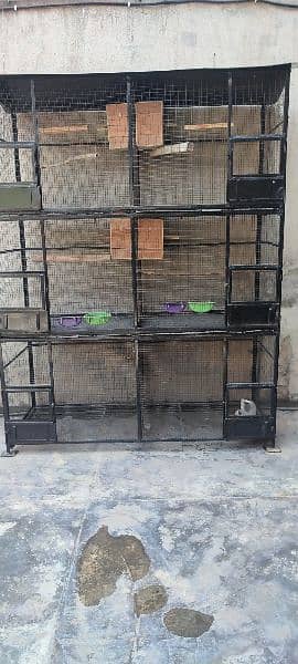 Birds Cage 1