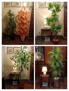 Artificial Plants for offices and home