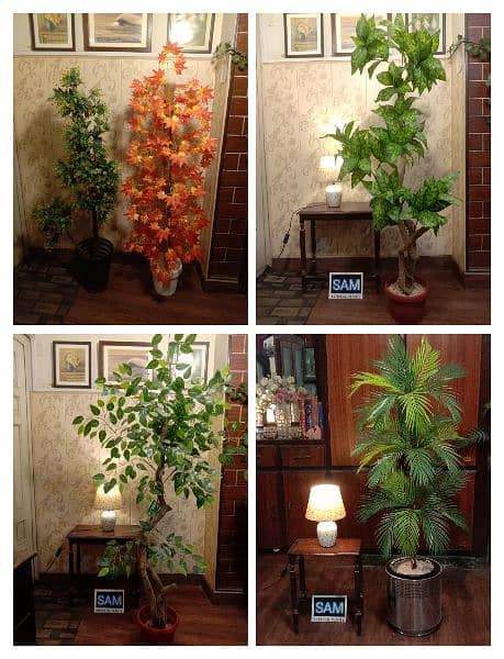 Artificial Plants for offices and home 0