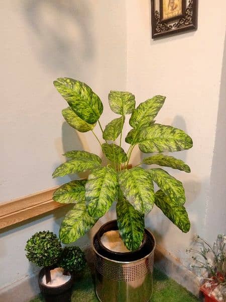 Artificial Plants for offices and home 3