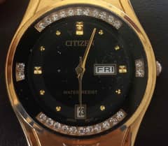 citizens original watch