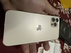 iPhone 12 Pro PTA approved