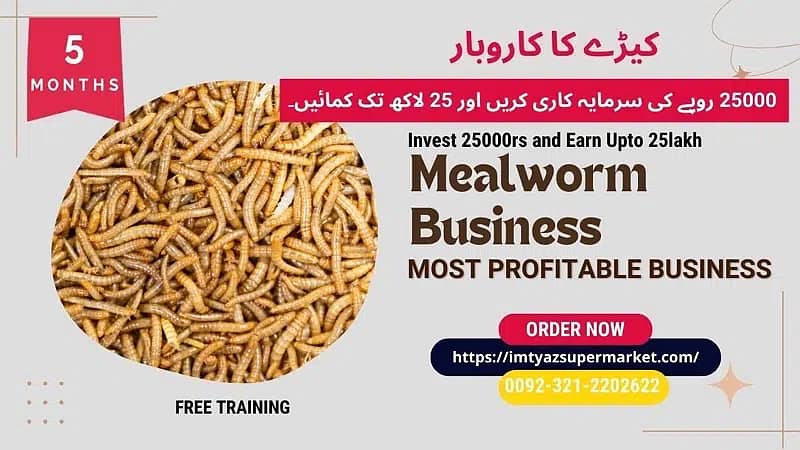 Darkling Beetle Larvae | Mealworms Rs 2 Each | 03212202622 2