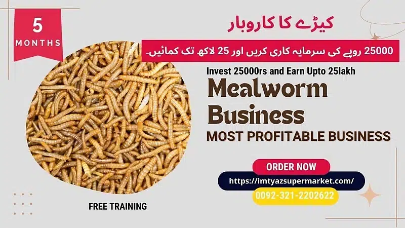Darkling Beetle Mealworm Larvae | Rs 2 Each | 03212202622 — photo 3