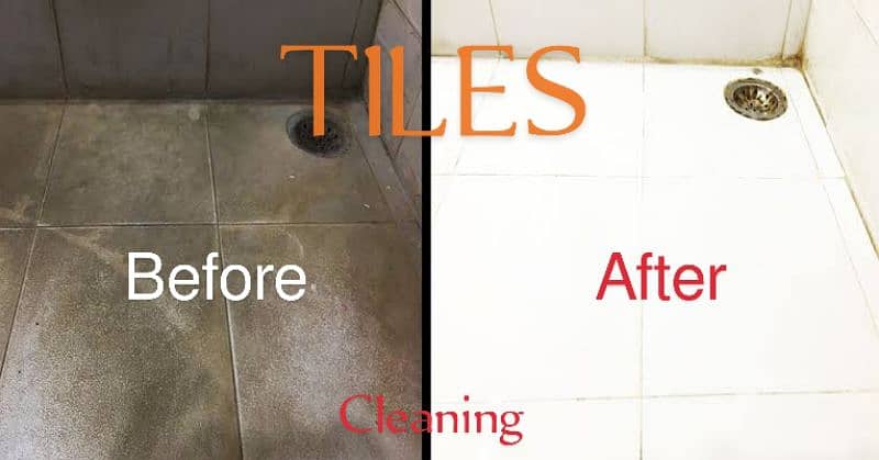 "HEAVY DUTY TILES CLEANER FOR CERAMIC/PORCELAIN/VINYL TILES" 2