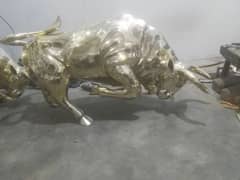 brass bull 42 inch size