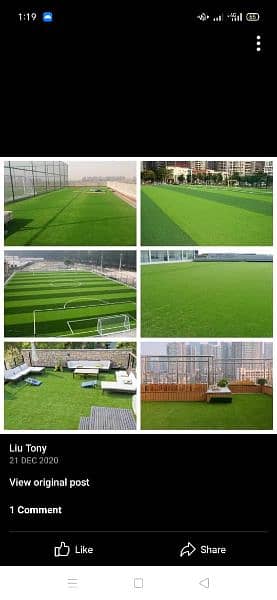 Astroturf/Artificial grass 0