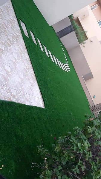 Astroturf/Artificial grass 3