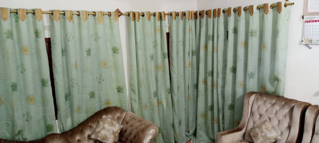 Green Curtains 1