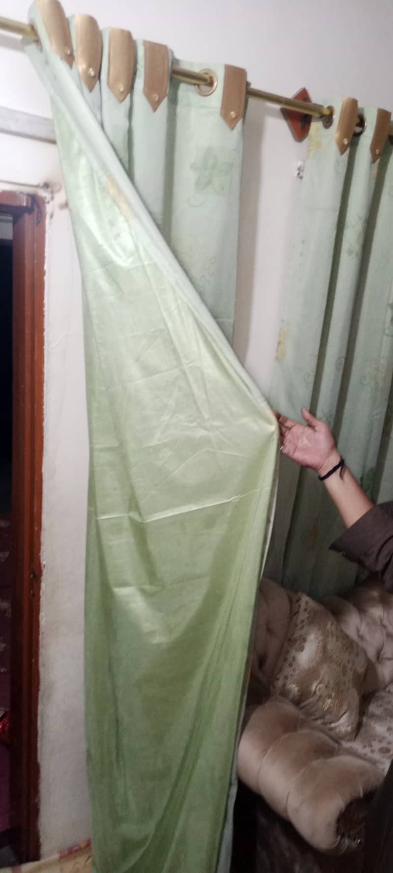 Green Curtains 4