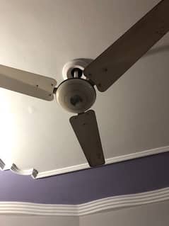Copper winding ceiling fan 56”