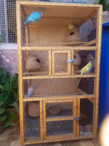 wooden cage