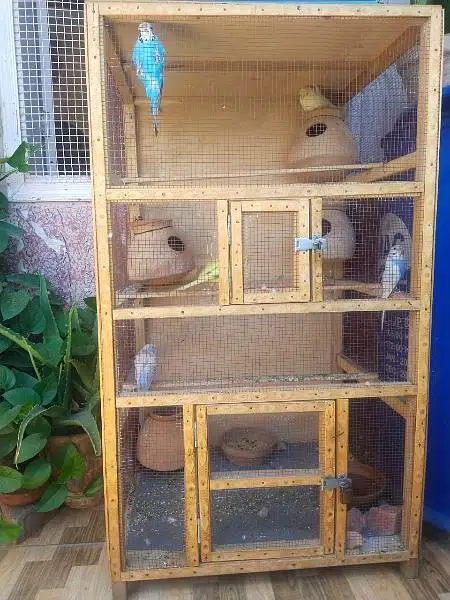 wooden cage — photo 2