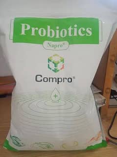 Probiotics for Biofloc (Fish farming)
