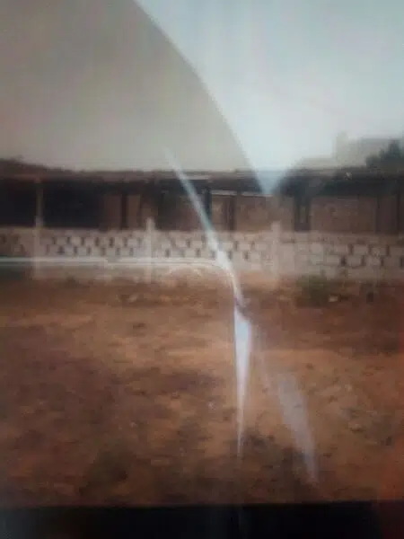 poultry,dairy/cattle and goats farming — photo 2