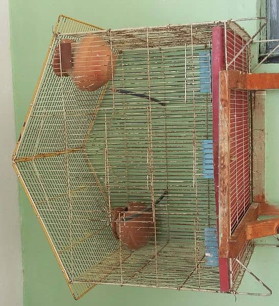 folding sabbir cage 2