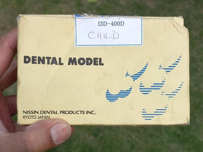 dental model kit 2