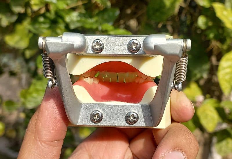 dental model kit 5