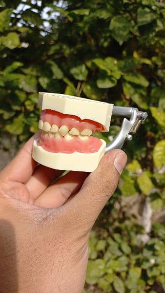 dental model kit 6