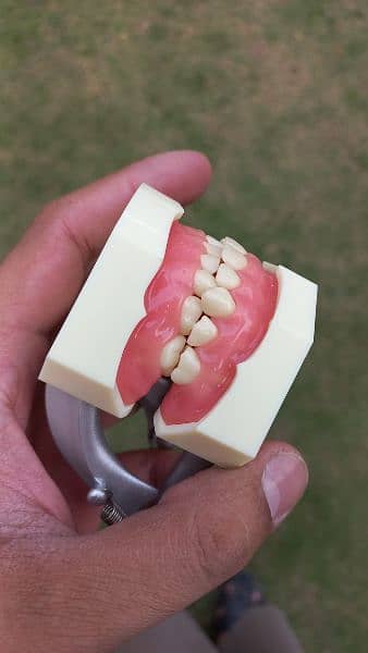 dental model kit 11