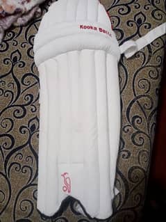 cricket pads