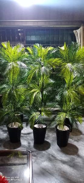 indoor Artificial plants ,  A+ quality. Delivery Available in Lahore 0