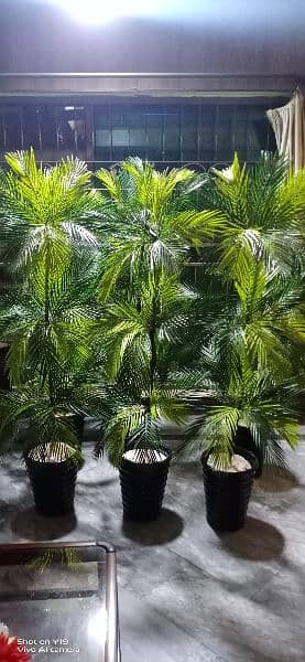 Planter, Artificial indoor plants. Delivery Available see pictures 7