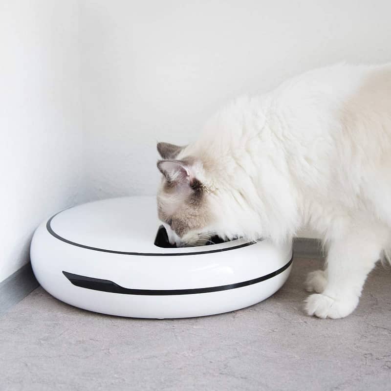 Automatic Food Feeder with Timer for Pet 5