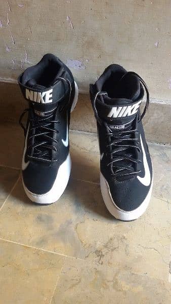 Nike Air Shoes 1