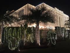 fairy light decor/wedding light decoration /light decoration/decor