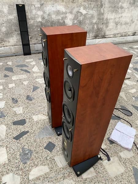 triangle floor stand speakers 5