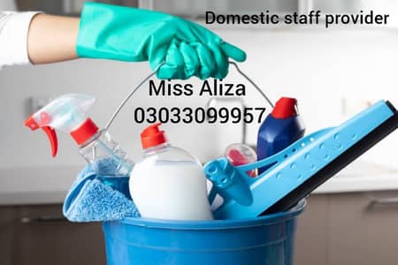 Maid, Babysitter, Cook, Patient attendant