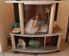TV Trolly In best condition