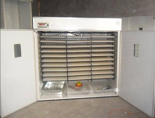 All types of eggs incubators available starting 160 eggs to 300000 egg 1