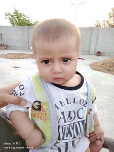 Adeel Rajput